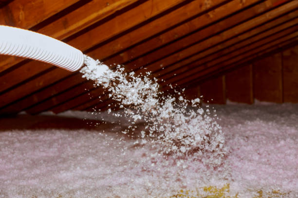 Best Fiberglass Insulation  in Indian Mountain Lake, PA