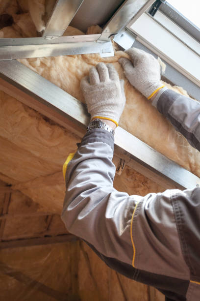 Best Local Insulation Services  in Indian Mountain Lake, PA
