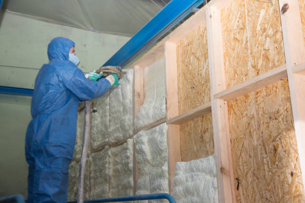 Best Best Insulation Companies  in Indian Mountain Lake, PA