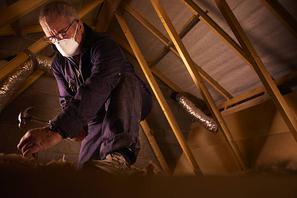 Best Insulation Contractors for Homes  in Indian Mountain Lake, PA